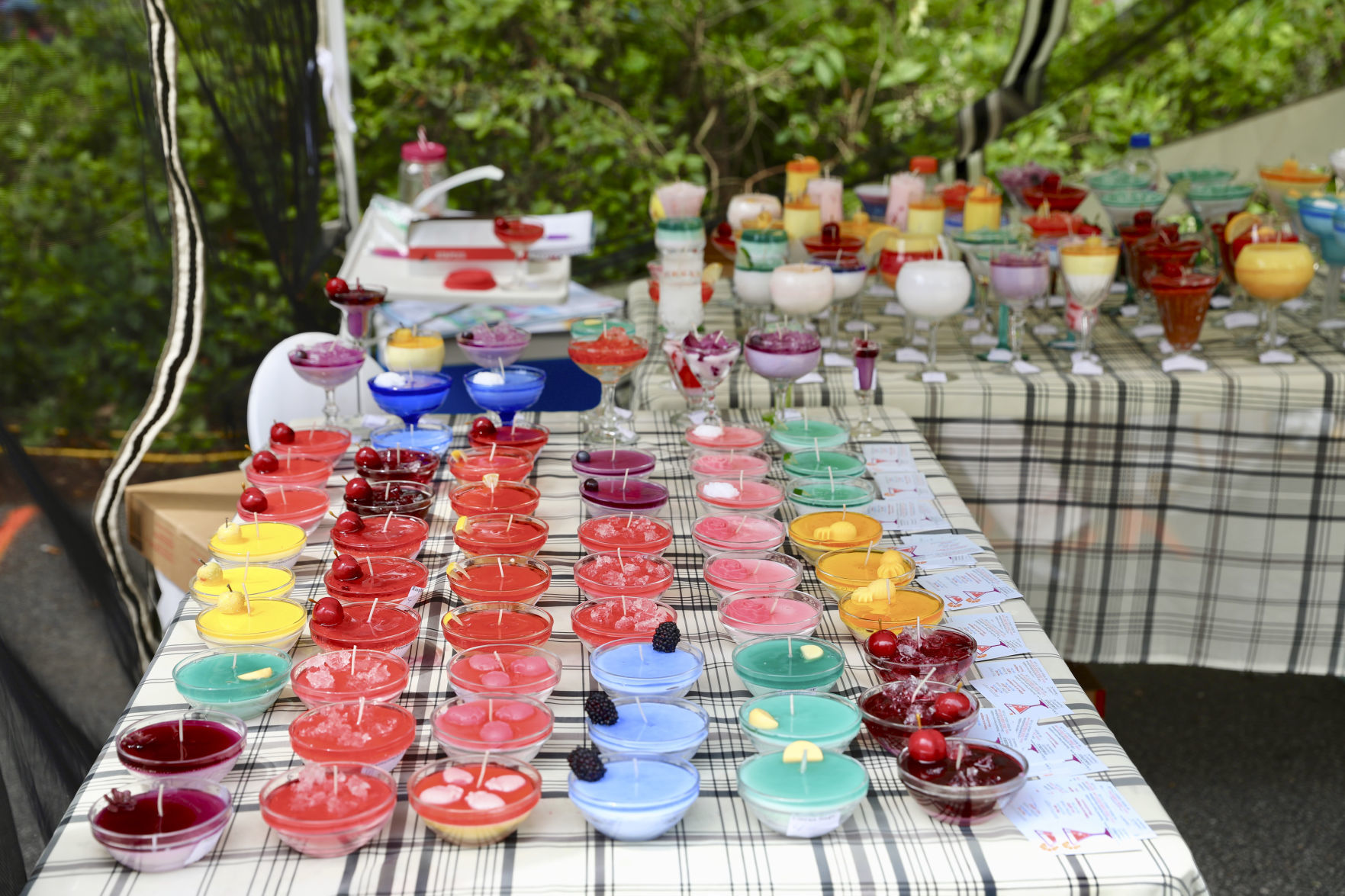 2018 Festival of Roses